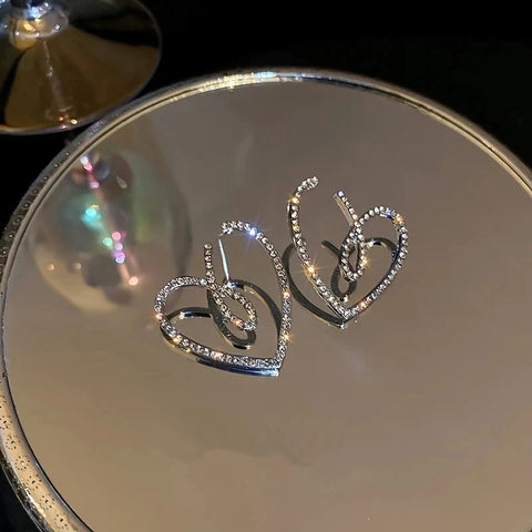 Fashionable, Shiny, And Caring Earrings